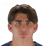 T. Fernandez